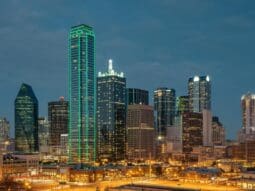 Dallas City Pest Services