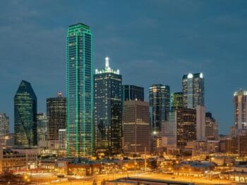 Dallas City Pest Services