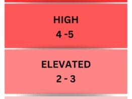 {{brizy_dc_image_alt entityId=