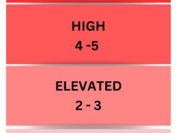 {{brizy_dc_image_alt entityId=